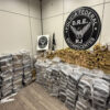 Homem é preso transportando cerca de uma tonelada de maconha na Rodovia Presidente Dutra