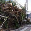 Ventania em SP, RS e RJ expõe falhas na resposta a extremos climáticos